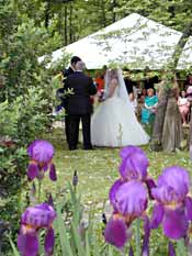 Irises in bloom w/ wedding couple and tent