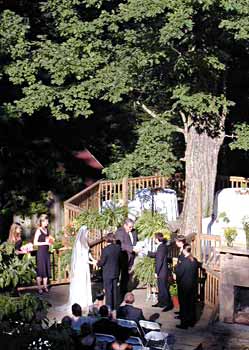 Wedding by Large Oak Tree